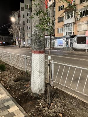 Прикрепленное изображение: IMG_5760.jpeg